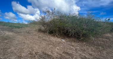 vente de terrain  À bÂtir viabilisÉ lot  no17 de 510 m2 a batir  à sainte anne + pack sÉrÉnitÉ