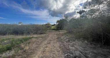 vente de terrain  À bÂtir viabilisÉ lot  no04  de 508  m2 a batir  à sainte anne + pack sÉrÉnitÉ