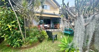 ligne des bambous - maison f4