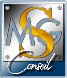 MSG CONSEIL