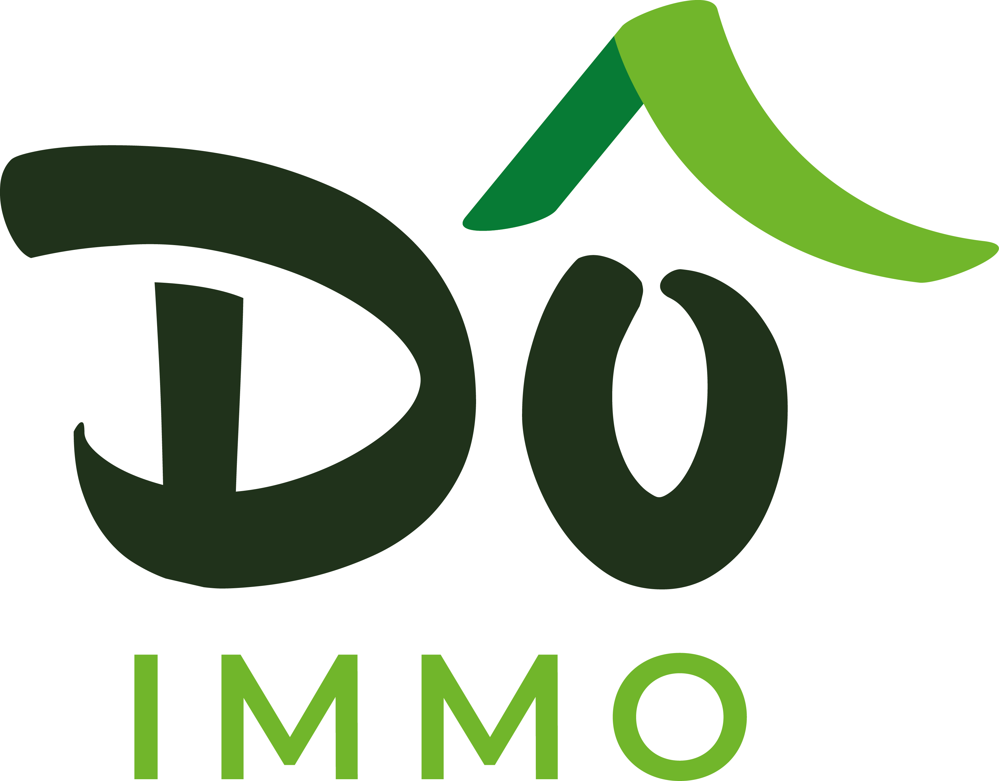 logo agence immobilière Dô IMMO Guadeloupe