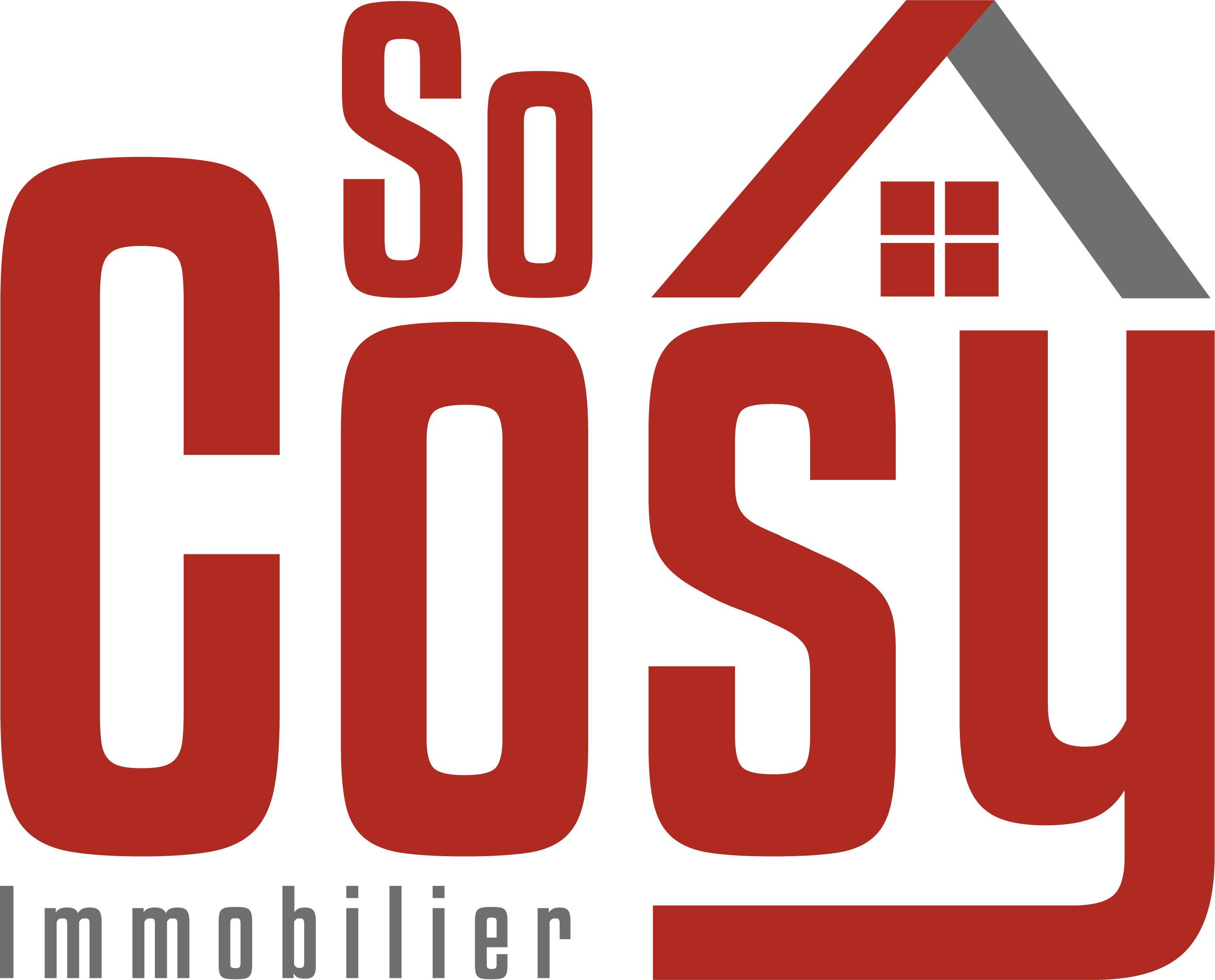 logo agence immobilière SOCOSY Réunion