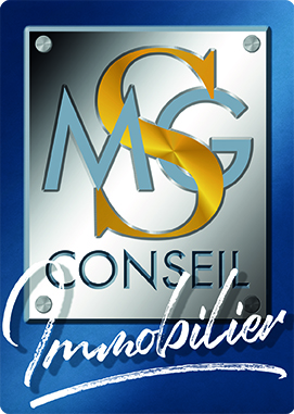 logo agence immobilière MSG CONSEIL Réunion