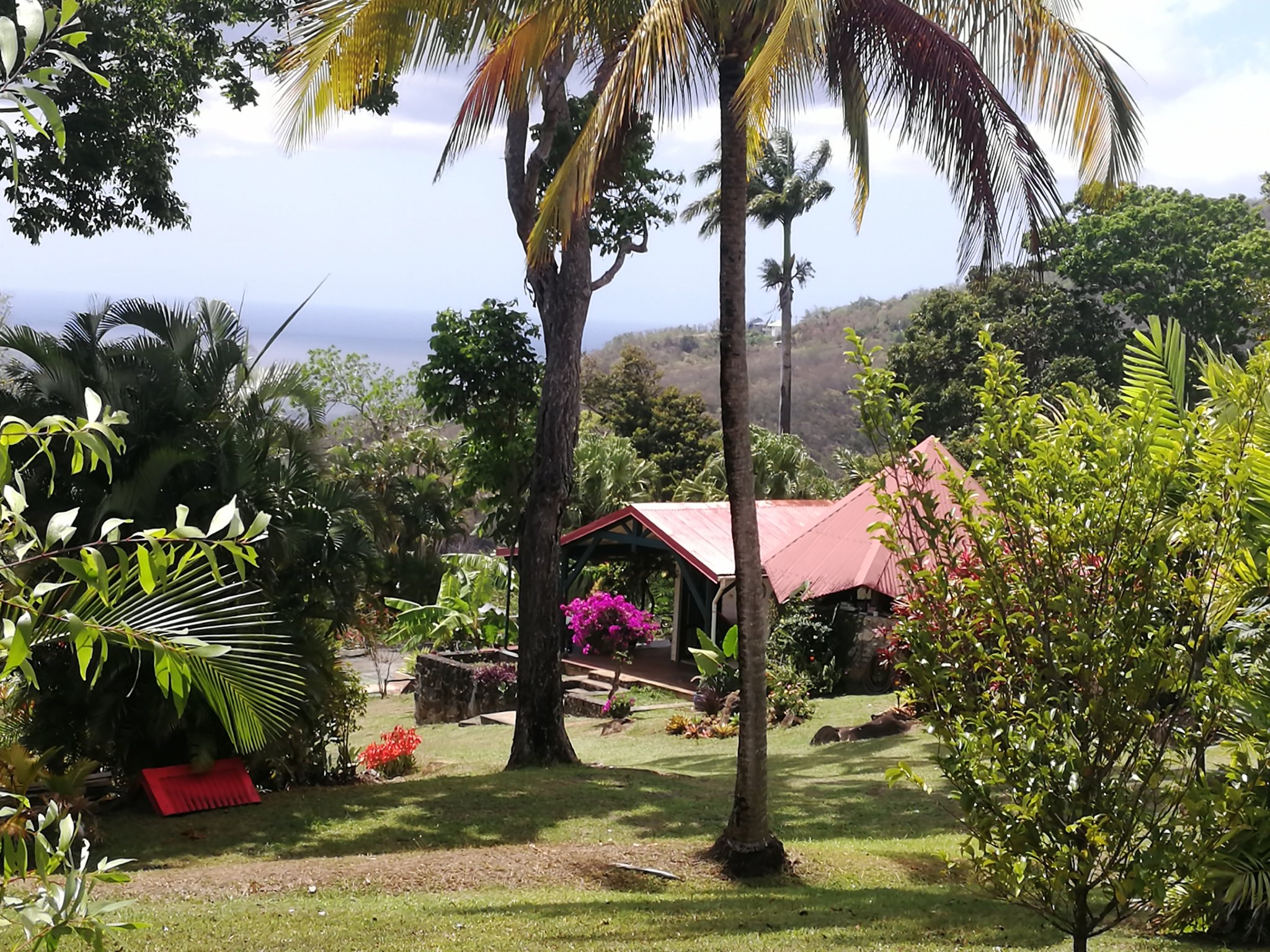 Achat maison Pointe Noire (97116) Guadeloupe Basse Terre Nord Réf. 0041