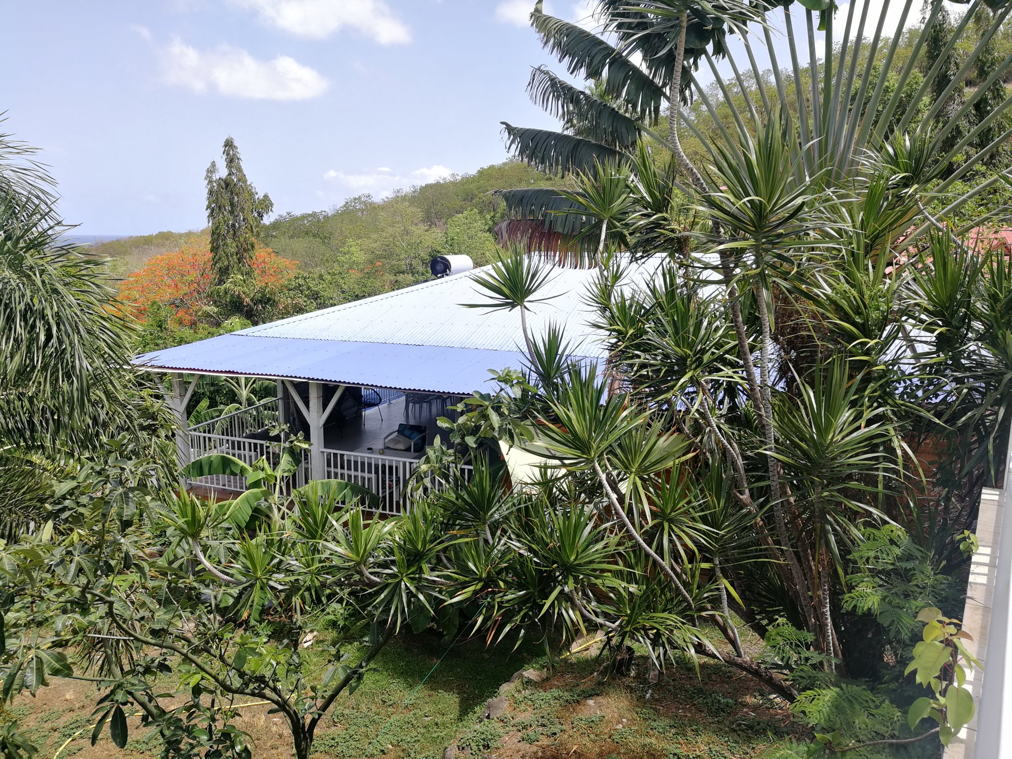 Achat maison Pointe Noire (97116) Guadeloupe Basse Terre Nord Réf. 0067