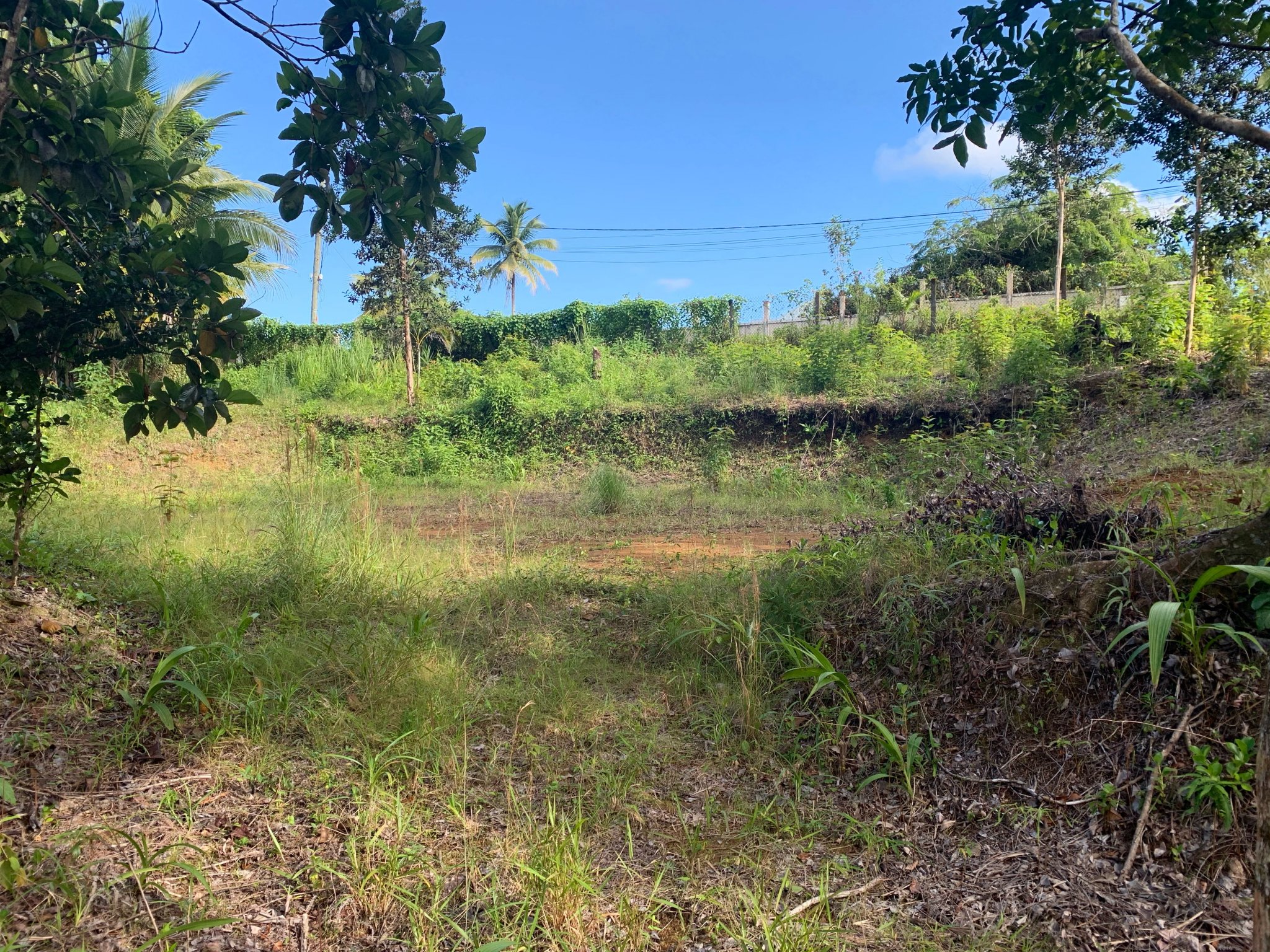 Achat terrain Petit Bourg (97170) Guadeloupe Basse Terre Nord Réf. 4009WS