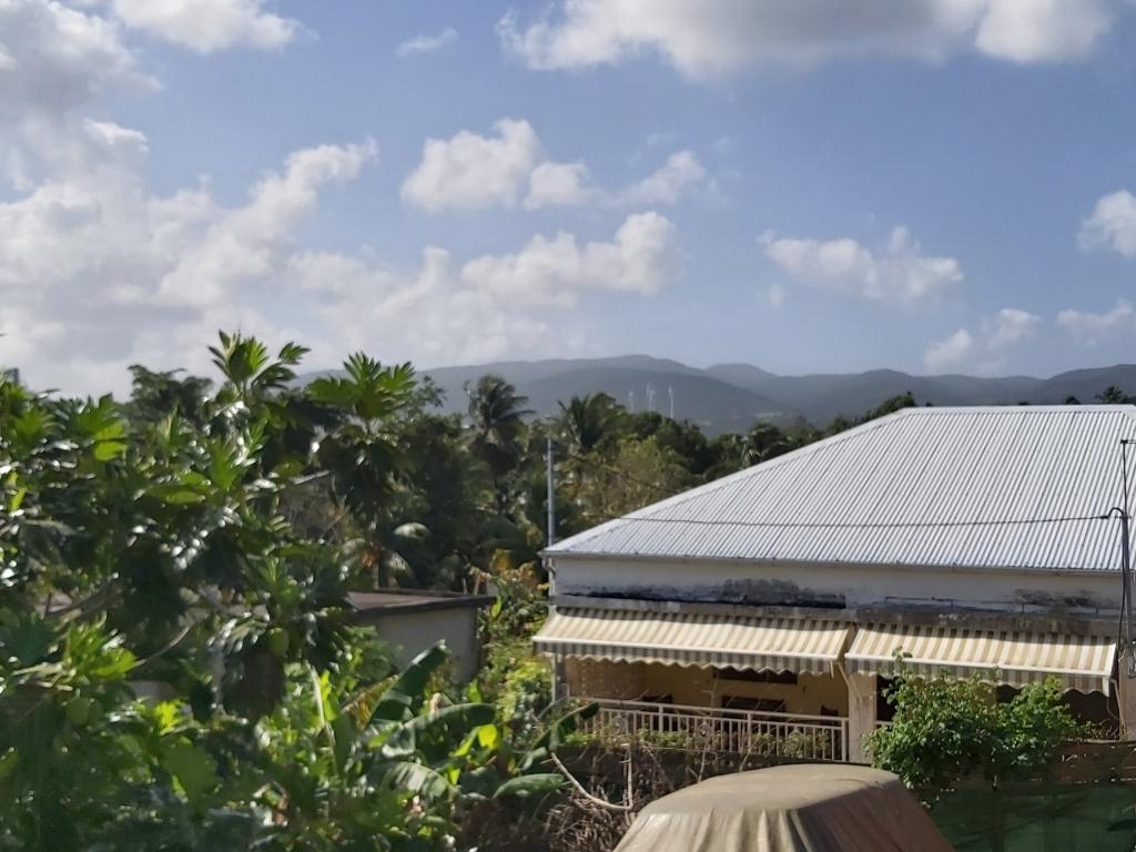 Achat maison SainteRose (97115) Guadeloupe Basse Terre Nord Réf. 365