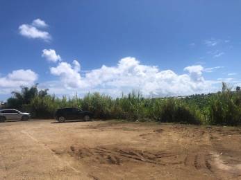 Location Terrains Goyave (97128) - GUADELOUPE
