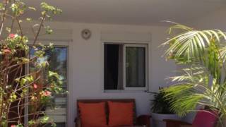 location maison à saint-pierre (97410)