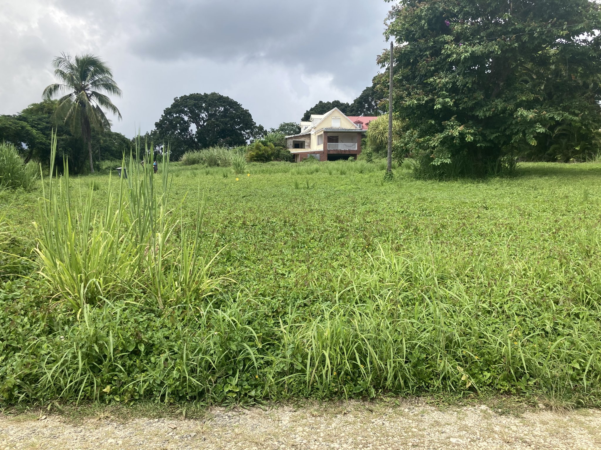 Achat terrain Petit Bourg (97170) Guadeloupe Basse Terre Nord Réf. 3