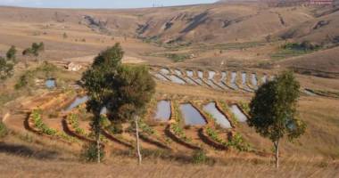 affaire rentable à saisir: terrain de 25 ha à vendre à ankazobe