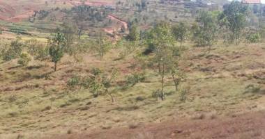 a vendre, un terrain de 1ha87 en bord de route principale à moratsiazo vontovorona