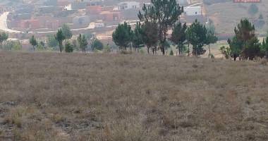 a vendre plusieurs lots de terrains de 500 m2 aménagé  à 10 minutes du lycée francais