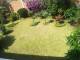 miniature