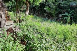 achat terrain à sainte-marie (97438)