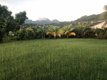 Achat Terrain Gourbeyre (97113) - GUADELOUPE