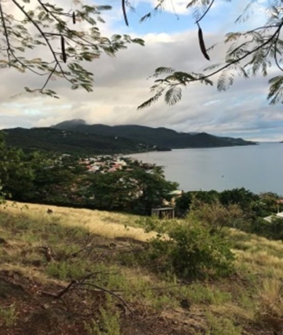 Achat terrain Pointe Noire (97116) Guadeloupe Basse Terre Nord Réf. 0250