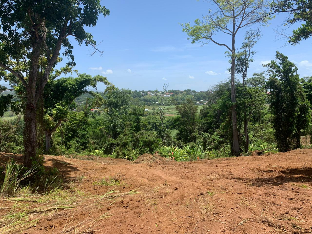 Achat terrain Petit Bourg (97170) Guadeloupe Basse Terre Nord Réf. 410