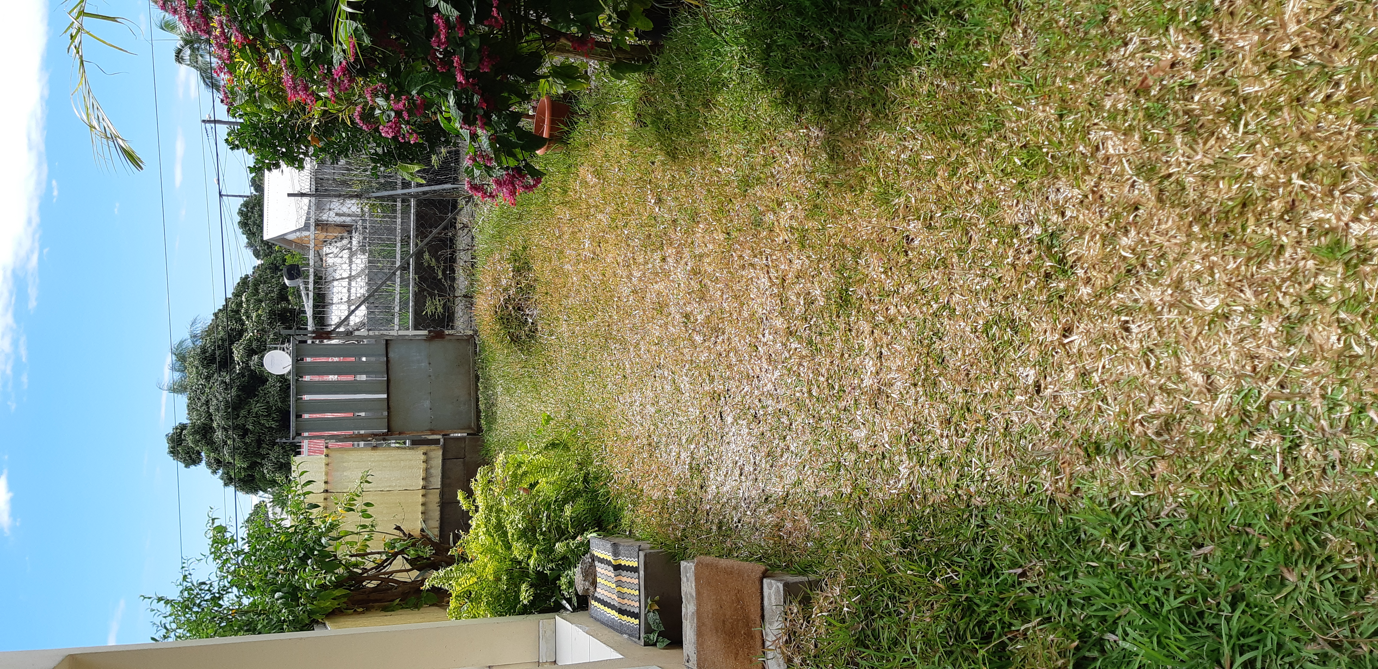 Location appartement t3 duplex SainteClotilde (97490) Réunion Nord