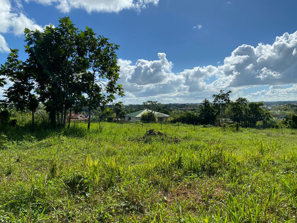 Achat terrain SainteRose (97115) Guadeloupe Basse Terre Nord Réf. 494