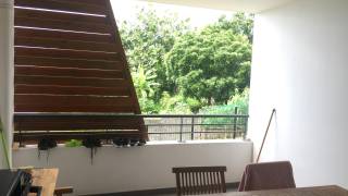 achat neuf appartement à saint-paul (97460)
