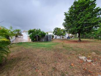 Achat Maison Les Abymes (97139) - GUADELOUPE