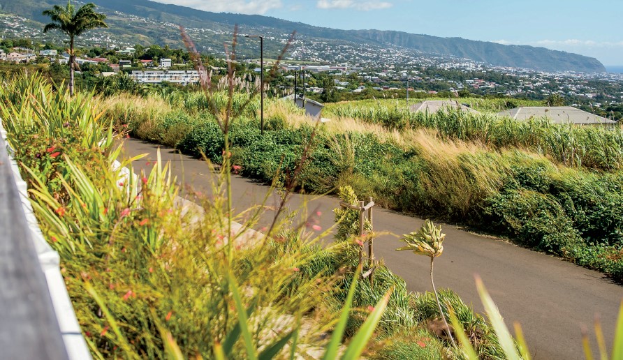 Achat terrain SainteMarie (97438) Réunion Nord Réf. 74612