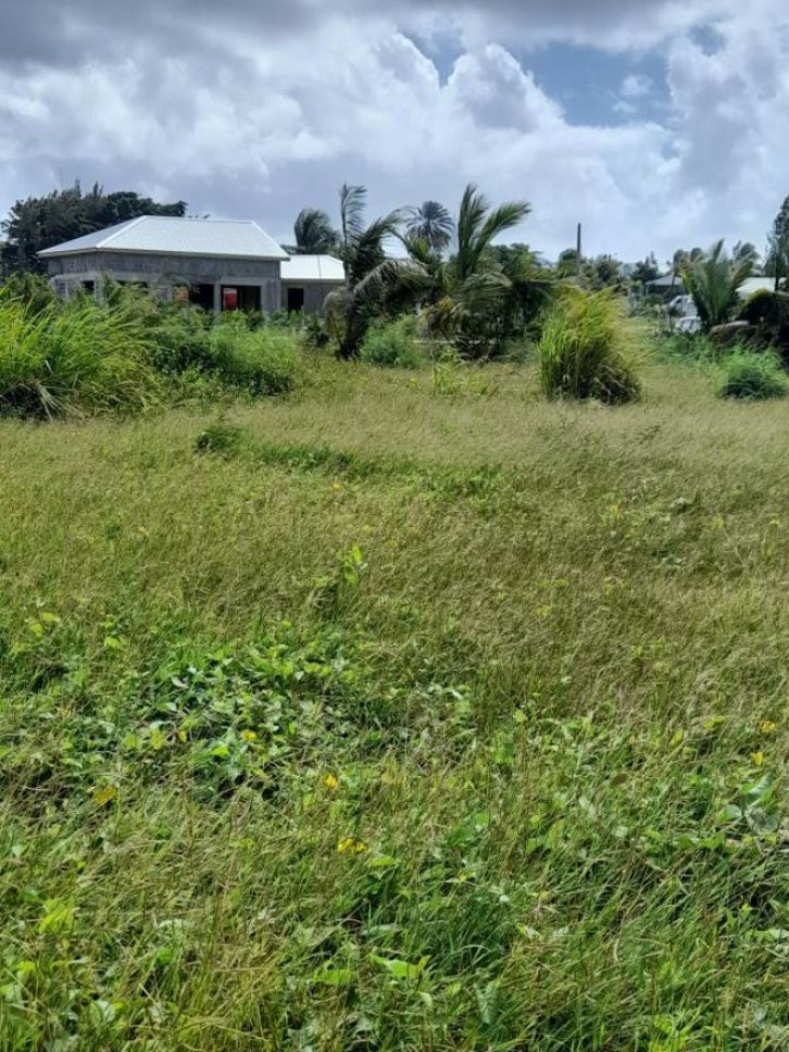 Achat terrain SaintFrançois (97118) Guadeloupe Grande Terre Sud Réf. VTE10002337