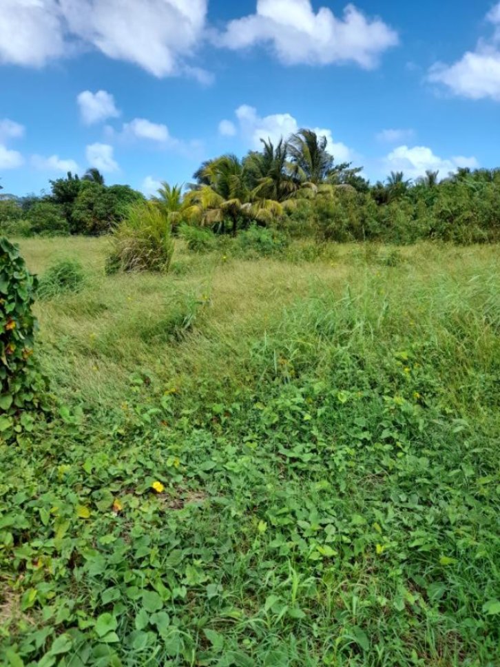 Achat terrain SaintFrançois (97118) Guadeloupe Grande Terre Sud Réf. VTE10002337
