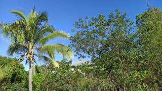 achat terrain à piton saint-leu (97424)