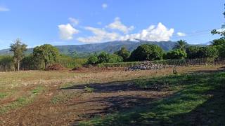 achat terrain à rivière saint-louis (97421)