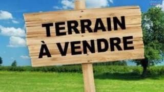 achat terrain à sainte-marie (97438)
