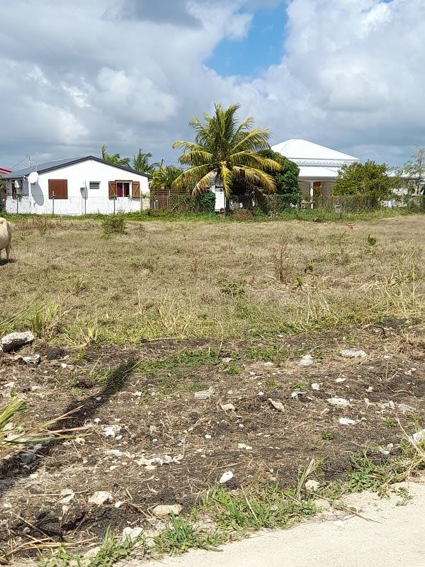 Achat terrain SaintFrançois (97118) Guadeloupe Grande Terre Sud Réf. VTE290002361