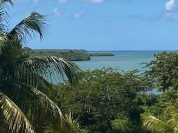 Achat Appartement Baie Mahault (97122) - GUADELOUPE