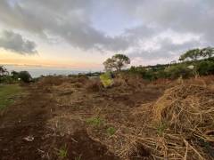 achat terrain à saint-denis (97400)