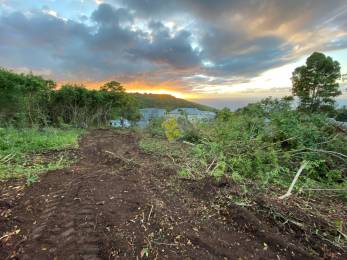 Achat Terrain Saint-Denis (97400) - REUNION