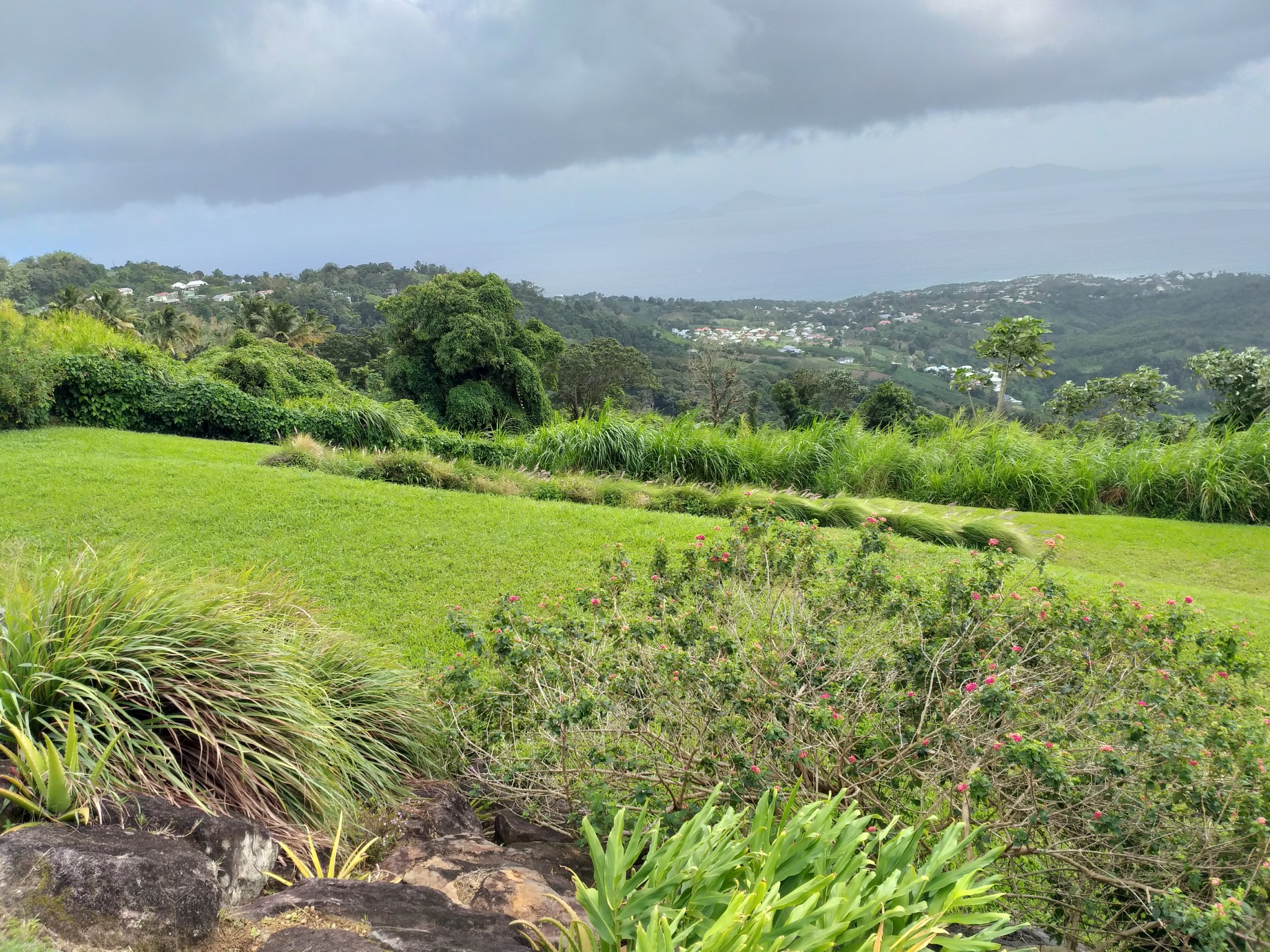 Achat maison Trois Rivières (97114) Guadeloupe Basse Terre Sud Réf. 401