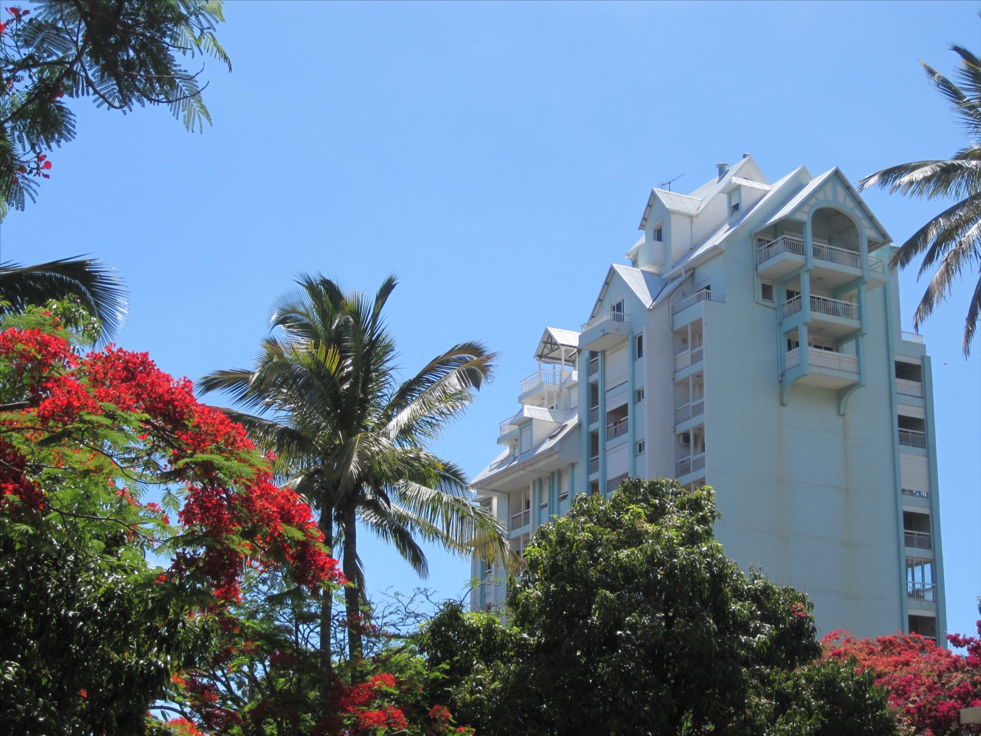 Location appartement SaintDenis (97400) Réunion Nord Réf. 14749