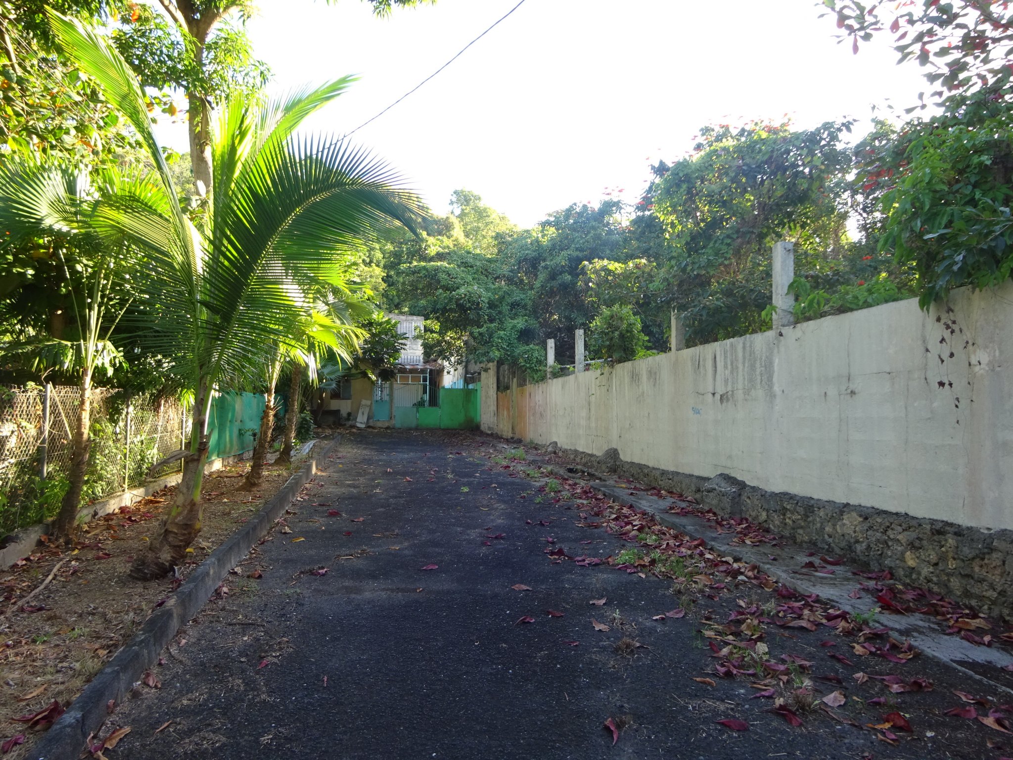 Achat terrain Les Abymes (97139) Guadeloupe Centre Réf. VTE10002404