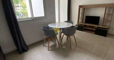 agreable appartement f1 a louer proche universite