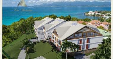 bas-du-fort - magnifique t3 - grande terrasse et jardin