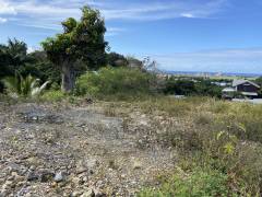 achat terrain à sainte-suzanne (97441)