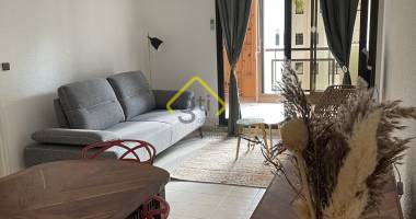 grand appartement f2 meuble a louer st denis - champ fleuri