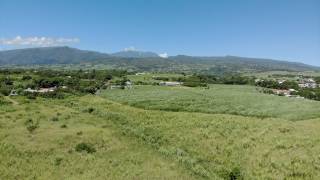 achat terrain à sainte-suzanne (97441)