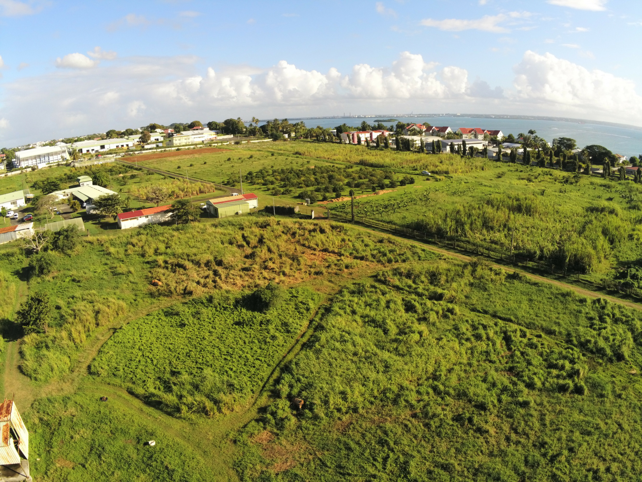 Achat terrains Petit Bourg (97170) Guadeloupe Basse Terre Nord Réf