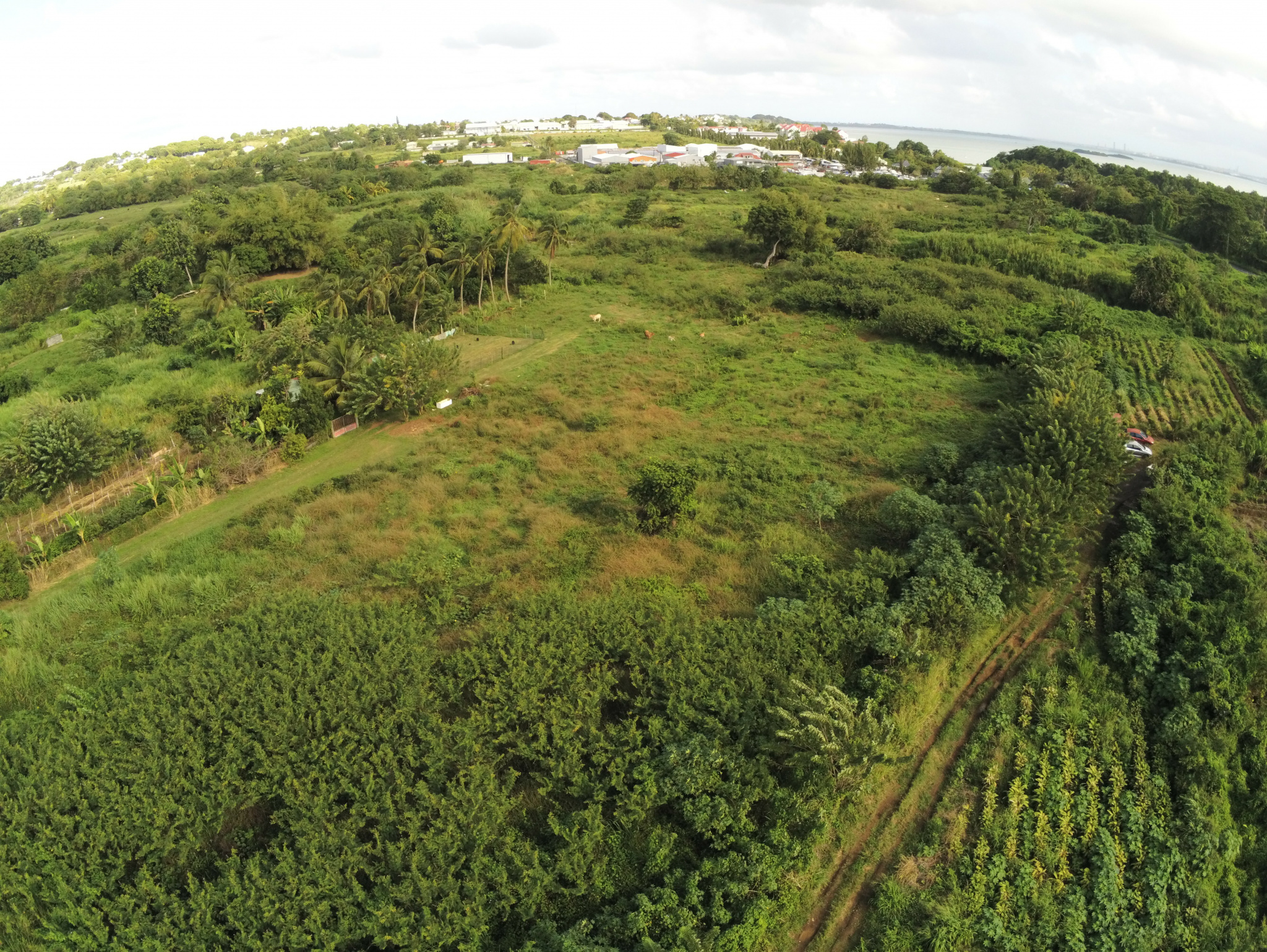 Achat terrains Petit Bourg (97170) Guadeloupe Basse Terre Nord Réf