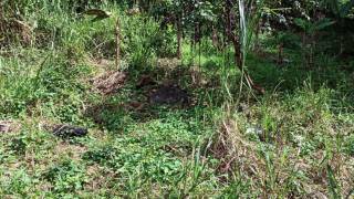 achat terrain à trois rivières (97114)