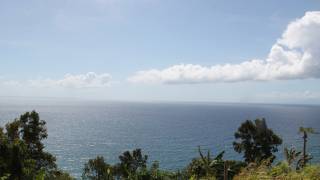 location appartement à capesterre belle eau (97130)