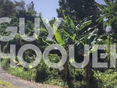 achat terrain à sainte-anne (97437)