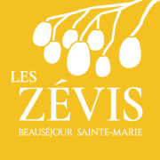 achat terrain à sainte-marie (97438)
